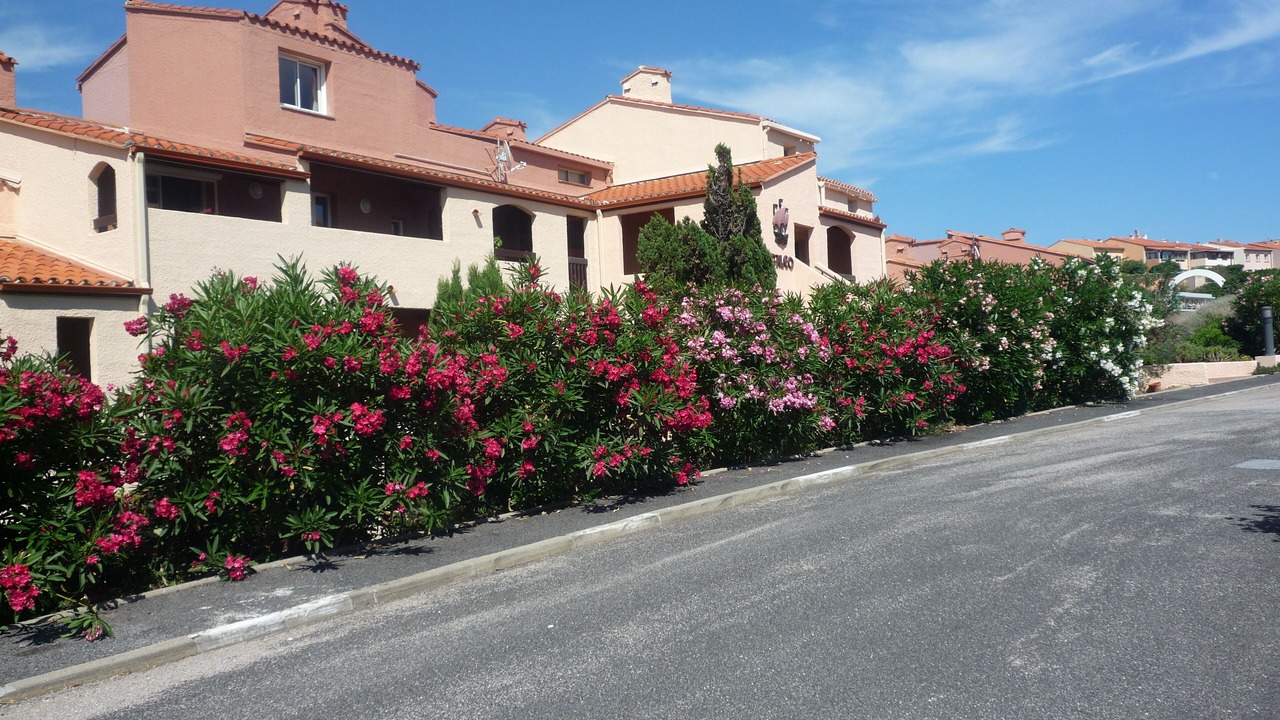 Photo of Outdoor in Port-Vendres