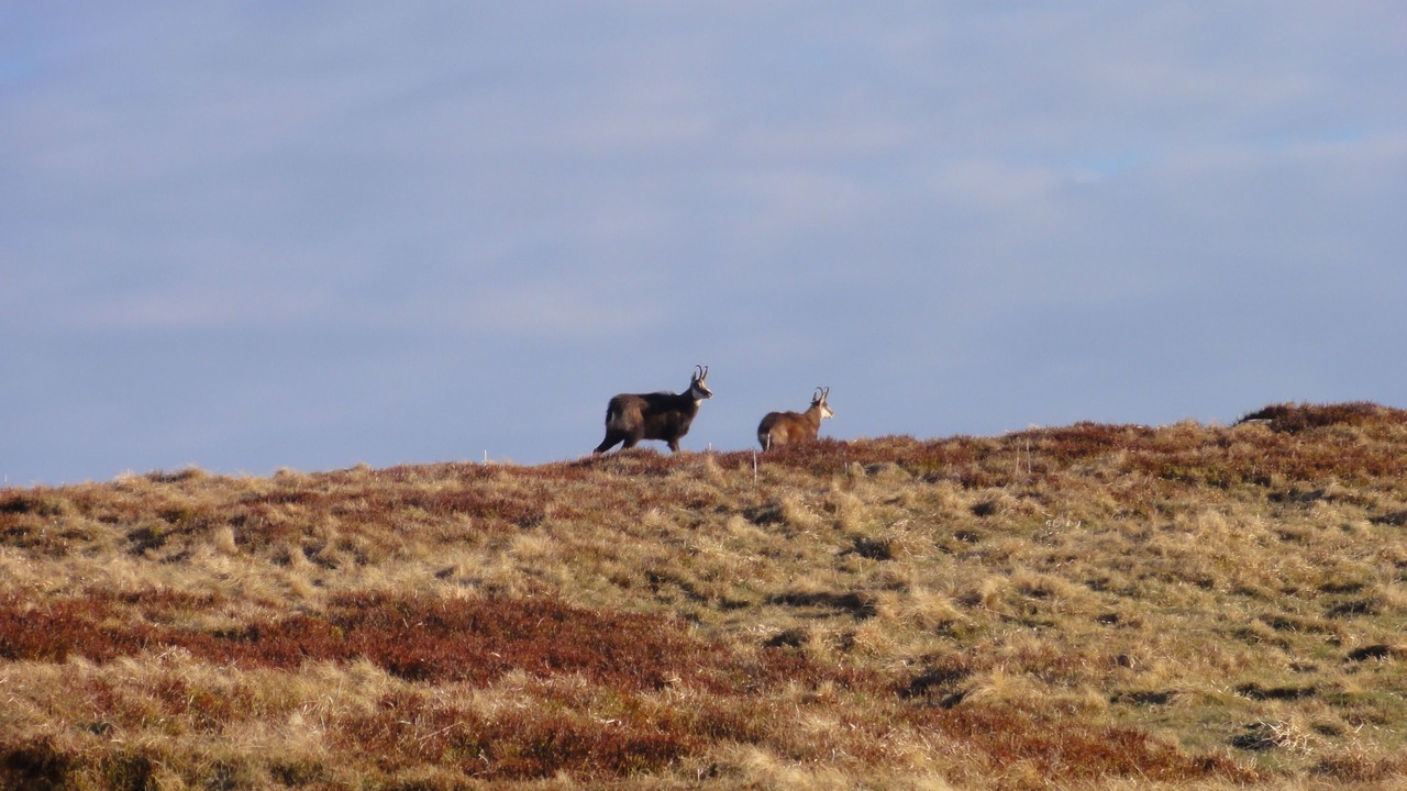 Photo of Others in Basse-sur-le-Rupt