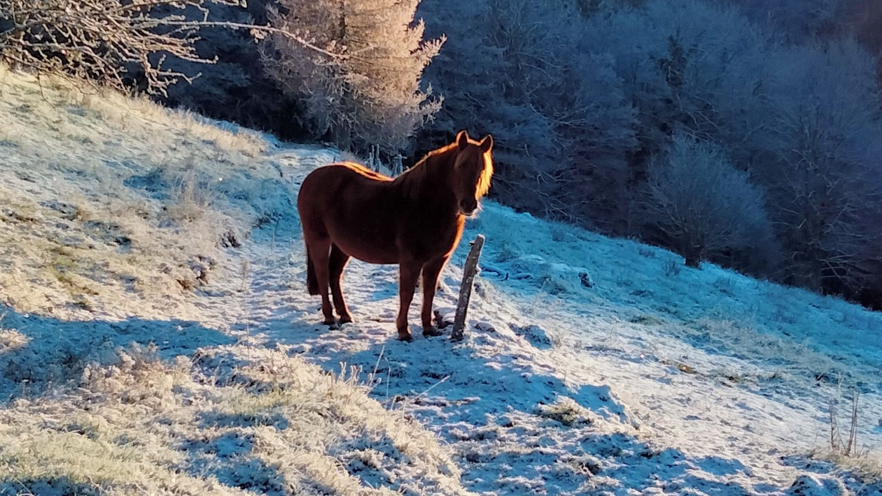 Photo of Others in Basse-sur-le-Rupt
