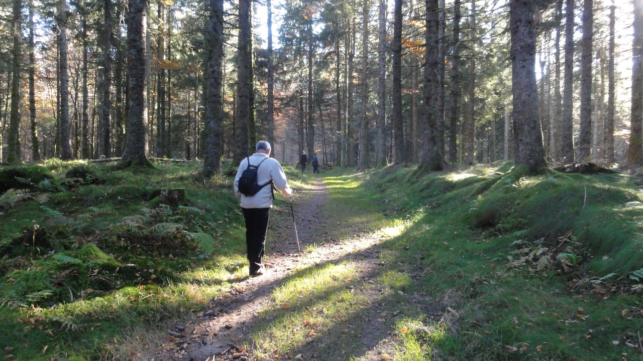 Photo of Outdoor in Basse-sur-le-Rupt