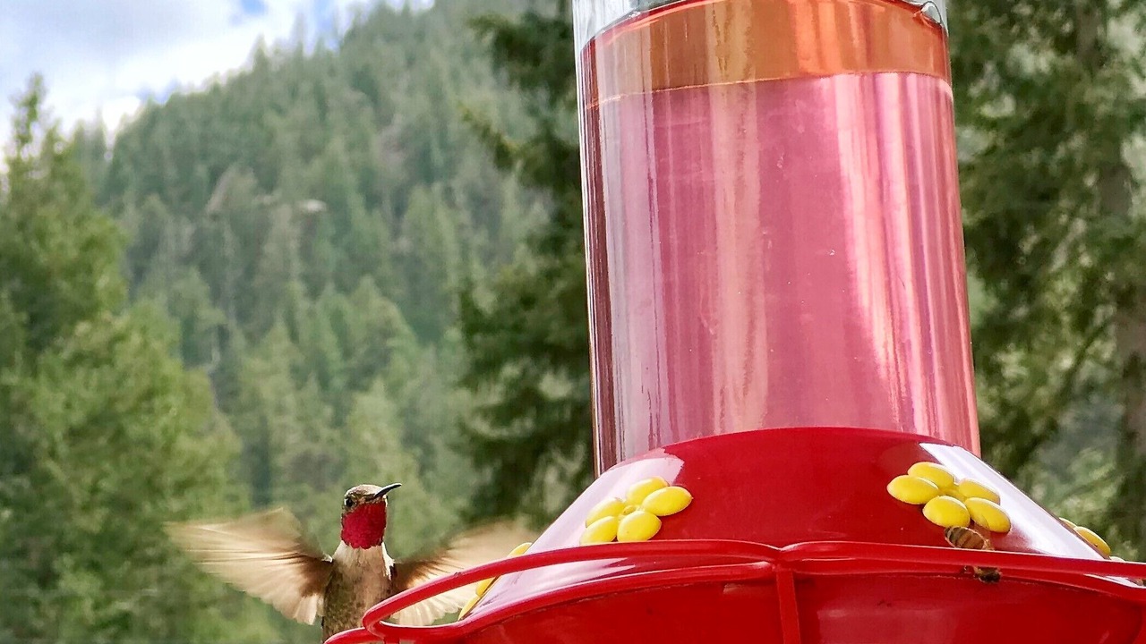 Photo of Others in Cascade