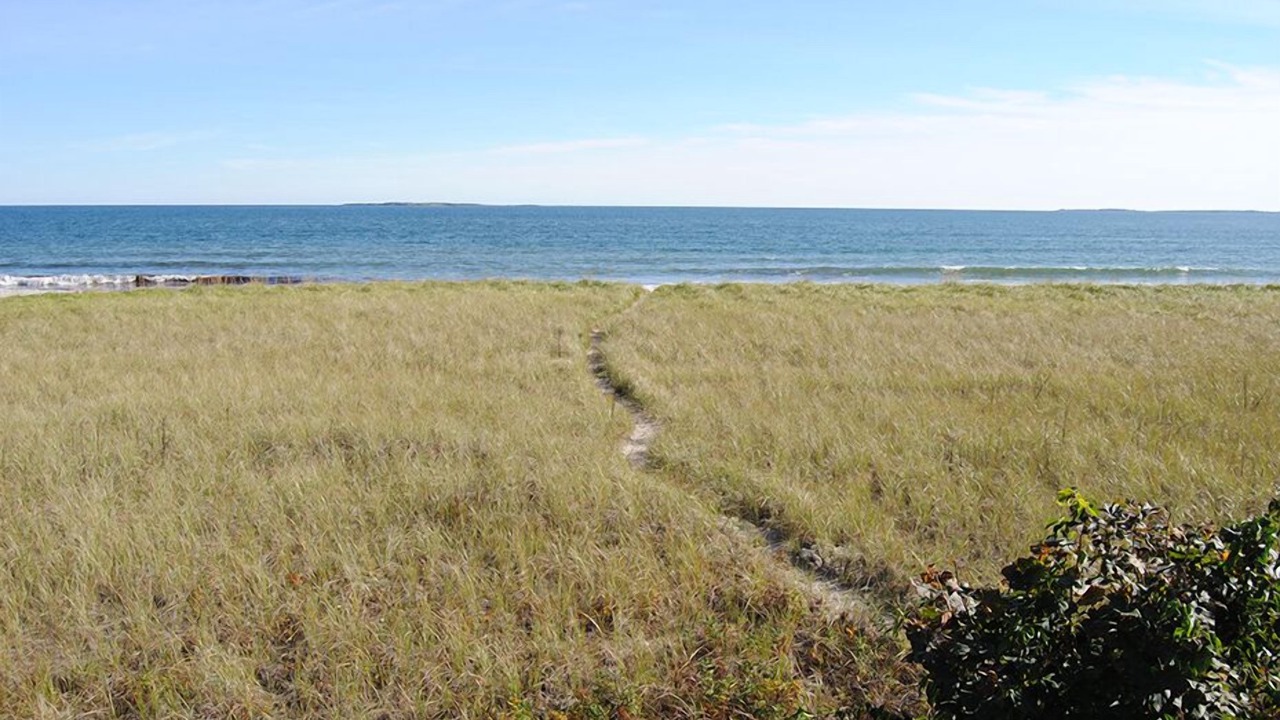 Photo of Others in Pine Point