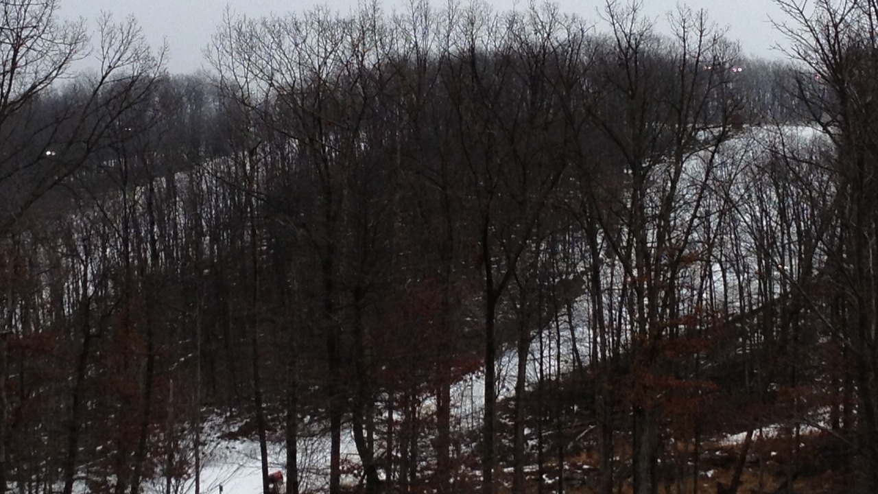 Photo of Others in Sybertsville