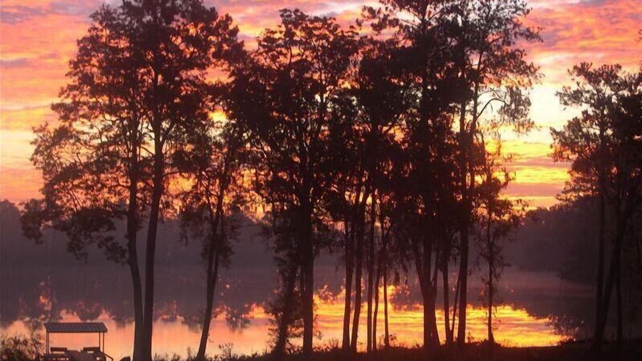 Photo of Others in Wellborn