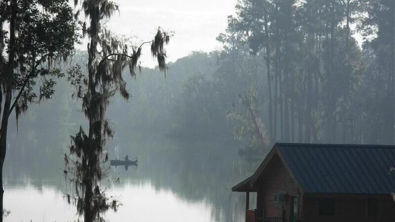 Photo of Others in Wellborn