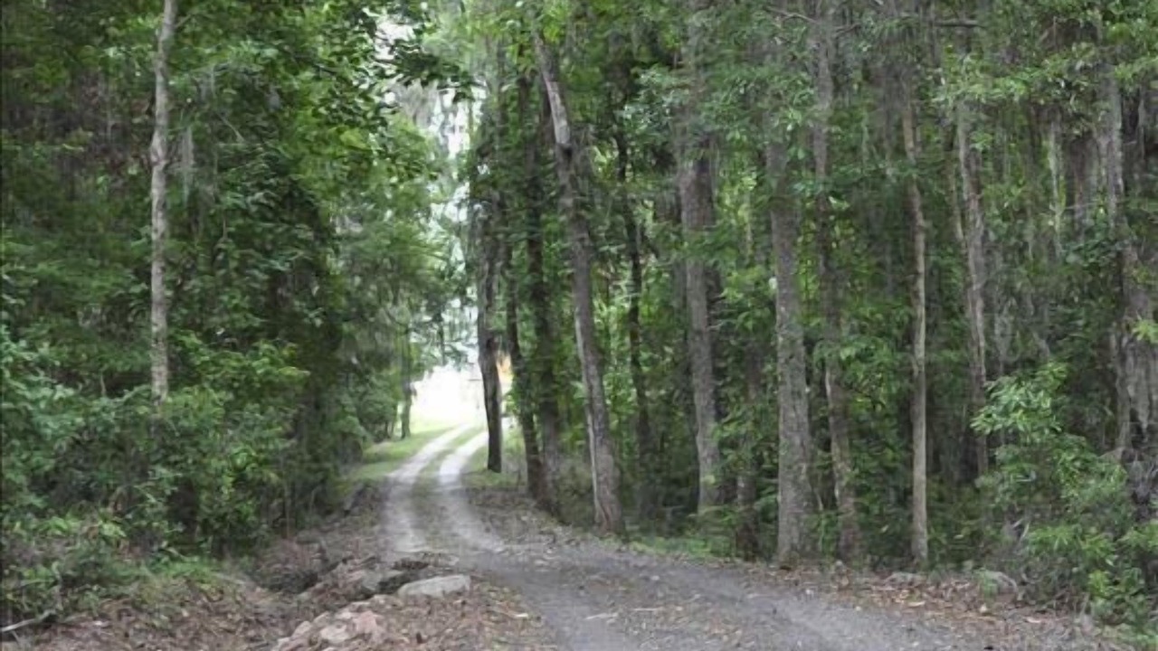 Photo of Others in Wellborn