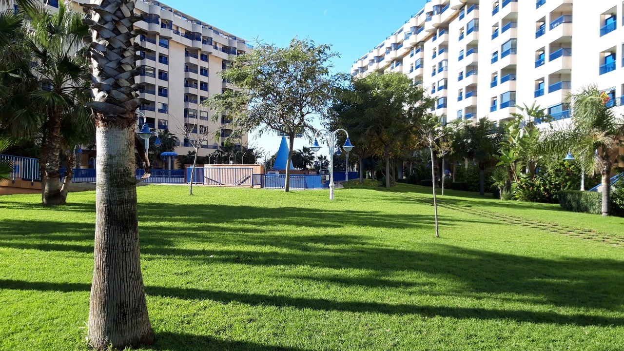 Photo of Outdoor in Alboraya