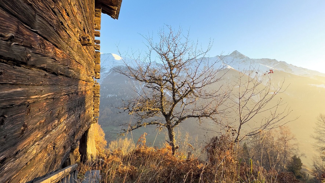 Photo of Others in Martisberg