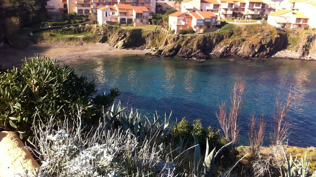 Photo of Others in Port-Vendres