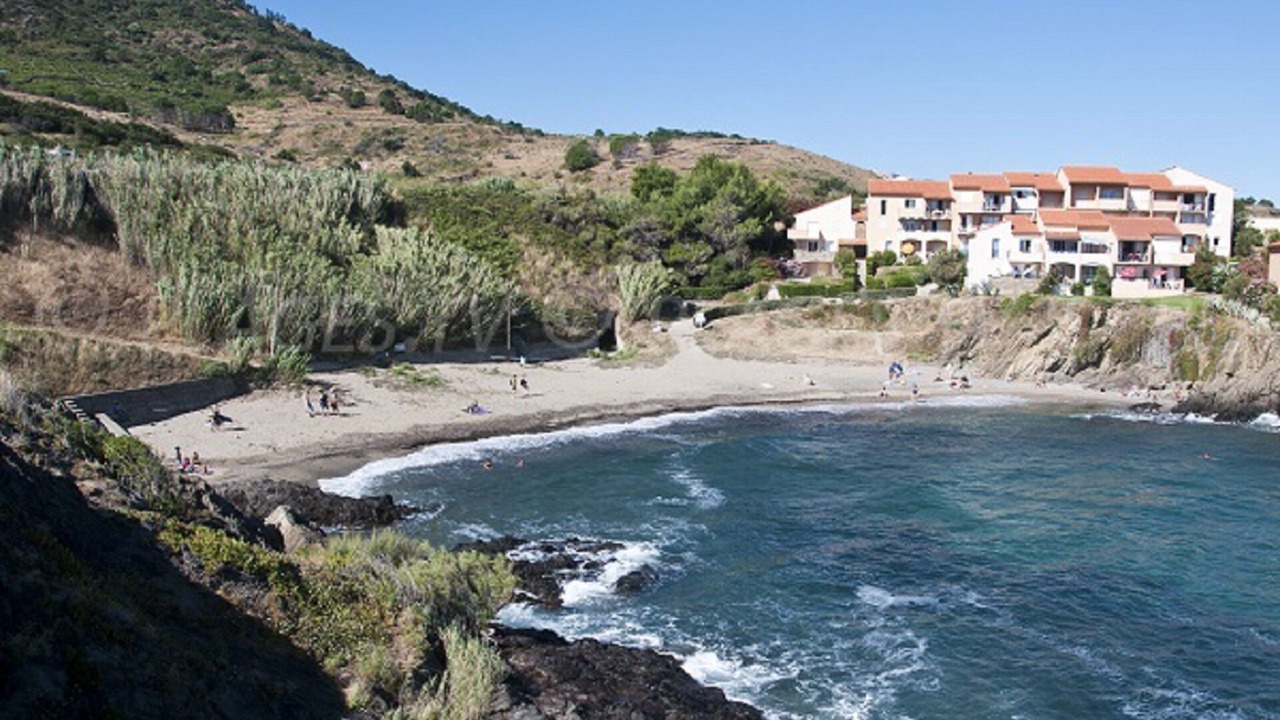 Photo of Others in Port-Vendres