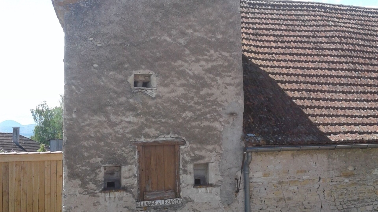 Photo of Others in Aubiat