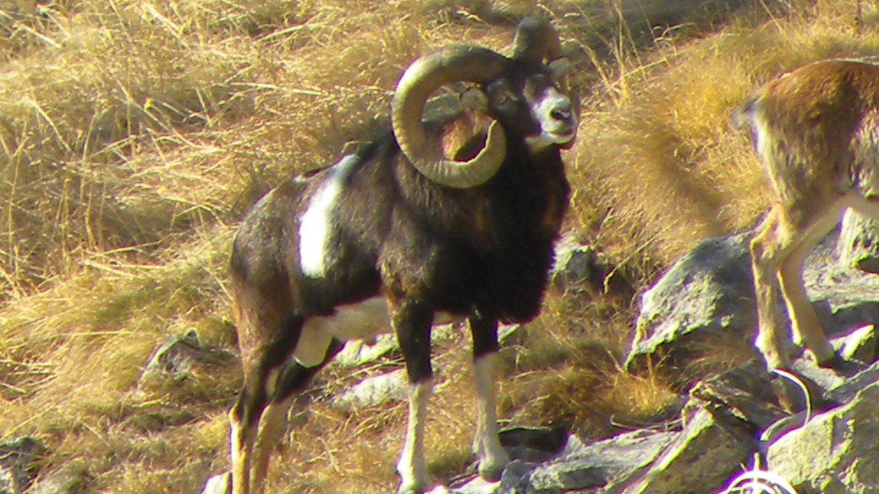 Photo of Outdoor in Roquebilliere
