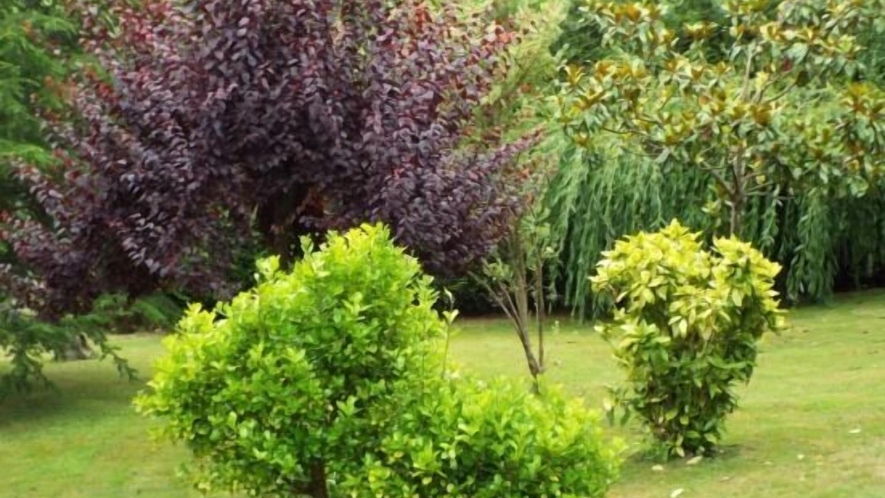 Photo of Outdoor in Barrio de Arriba