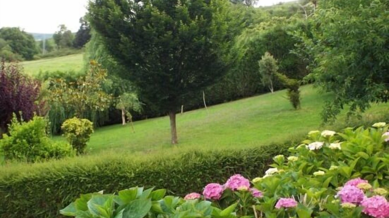 Photo of Outdoor in Barrio de Arriba