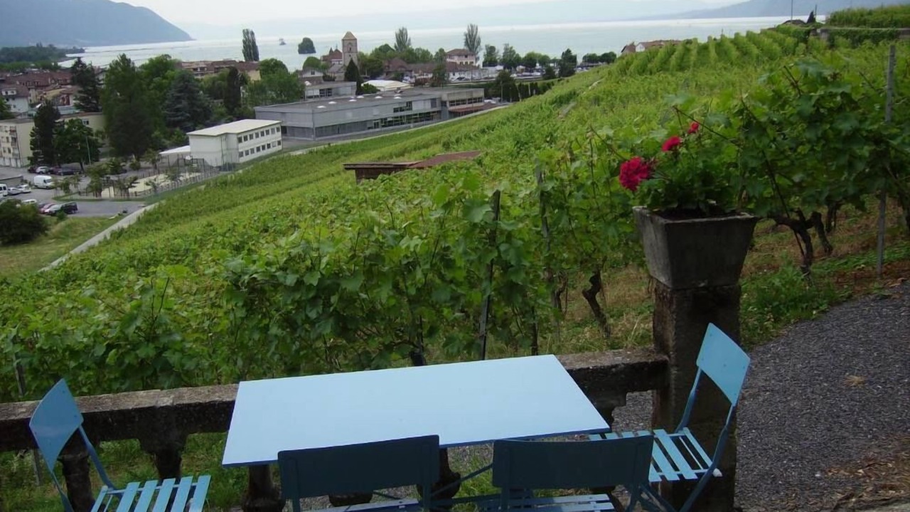 Photo of Outdoor in Villeneuve