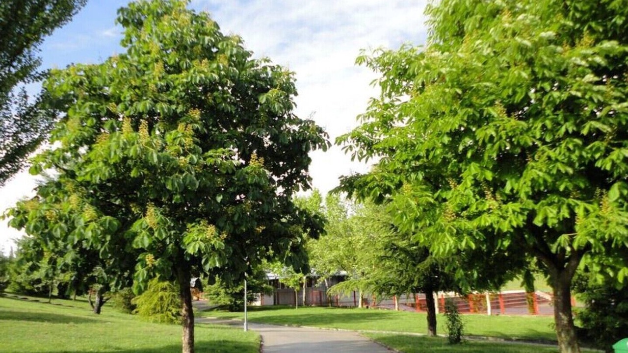 Photo of Outdoor in Abena
