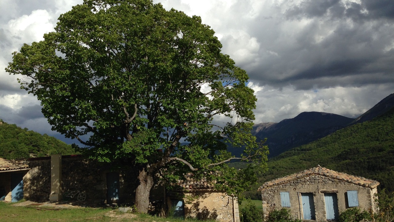 Photo of Outdoor in Curel