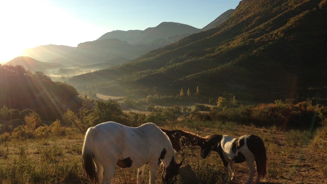Photo of Outdoor in Curel