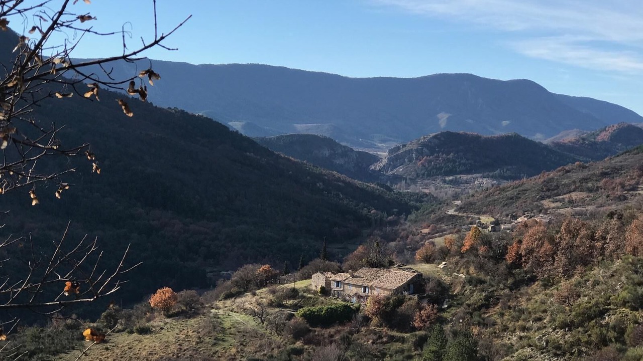 Photo of Outdoor in Curel