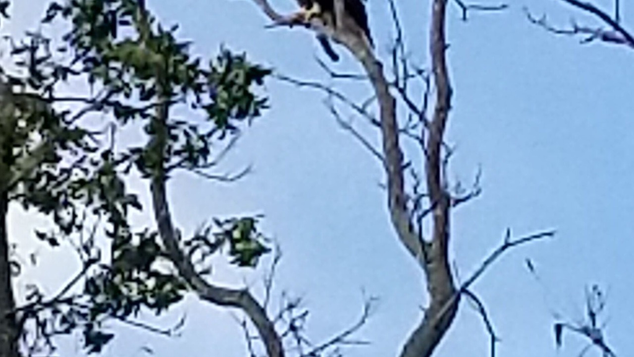 Photo of Others in Frenchtown-Rumbly