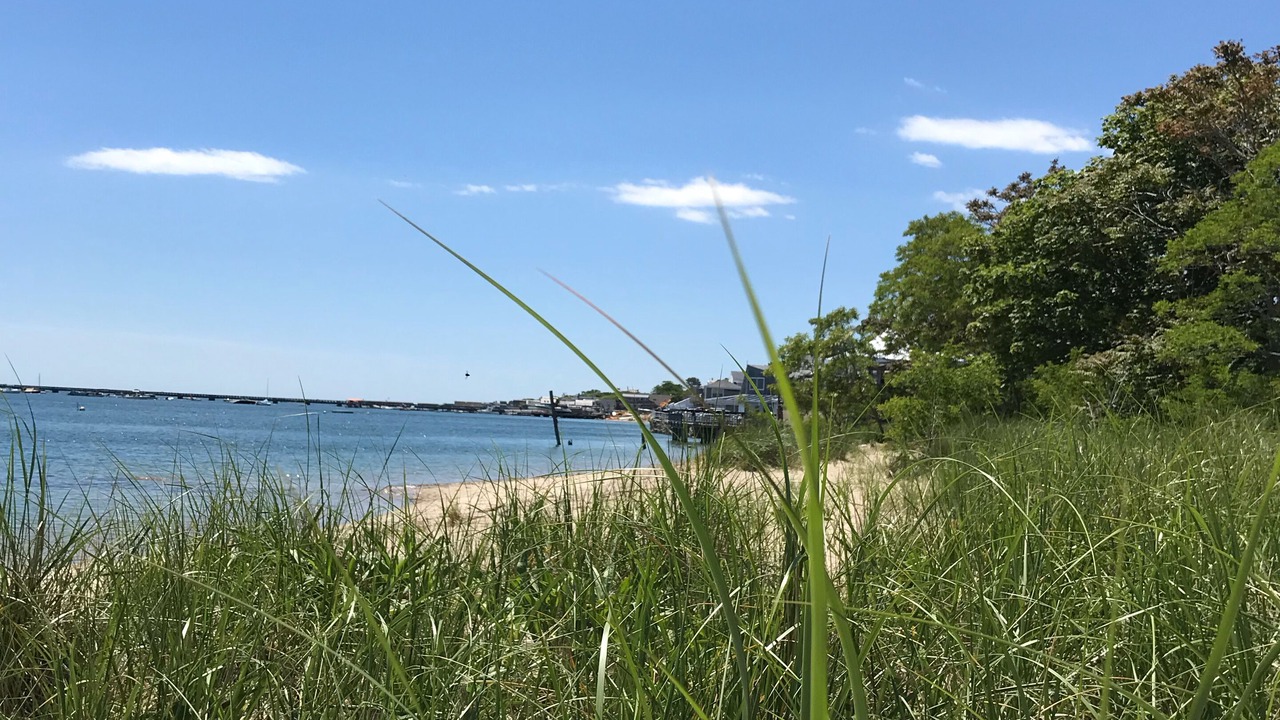 Photo of Others in Provincetown