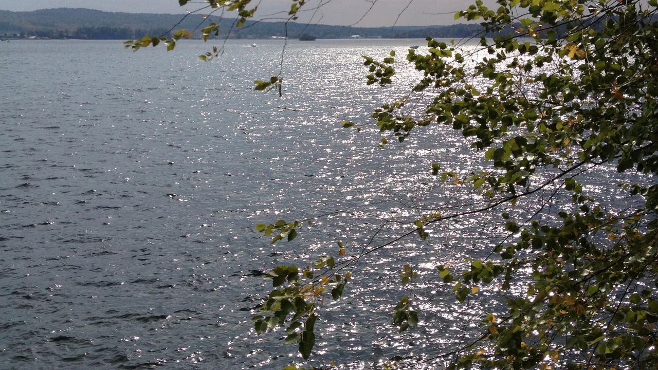 Photo of Others in Laconia