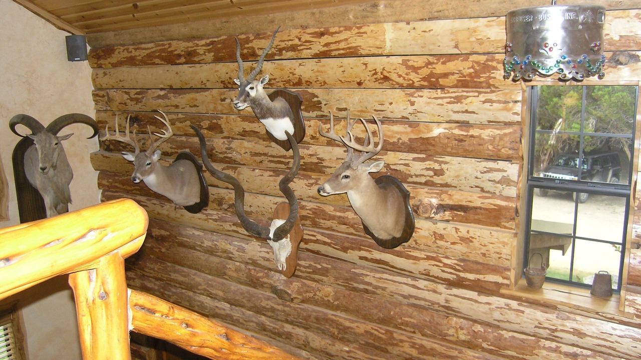 Photo of Others in Leakey