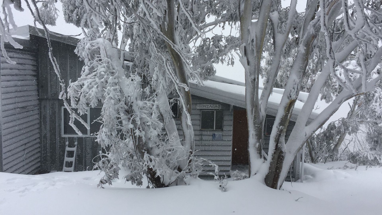 Photo of Outdoor in Mount Buller