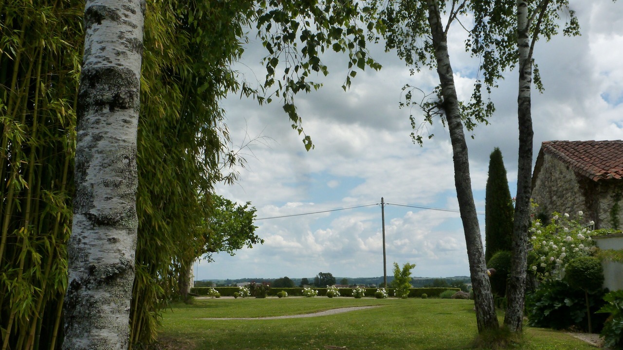 Photo of Outdoor in Lusignac