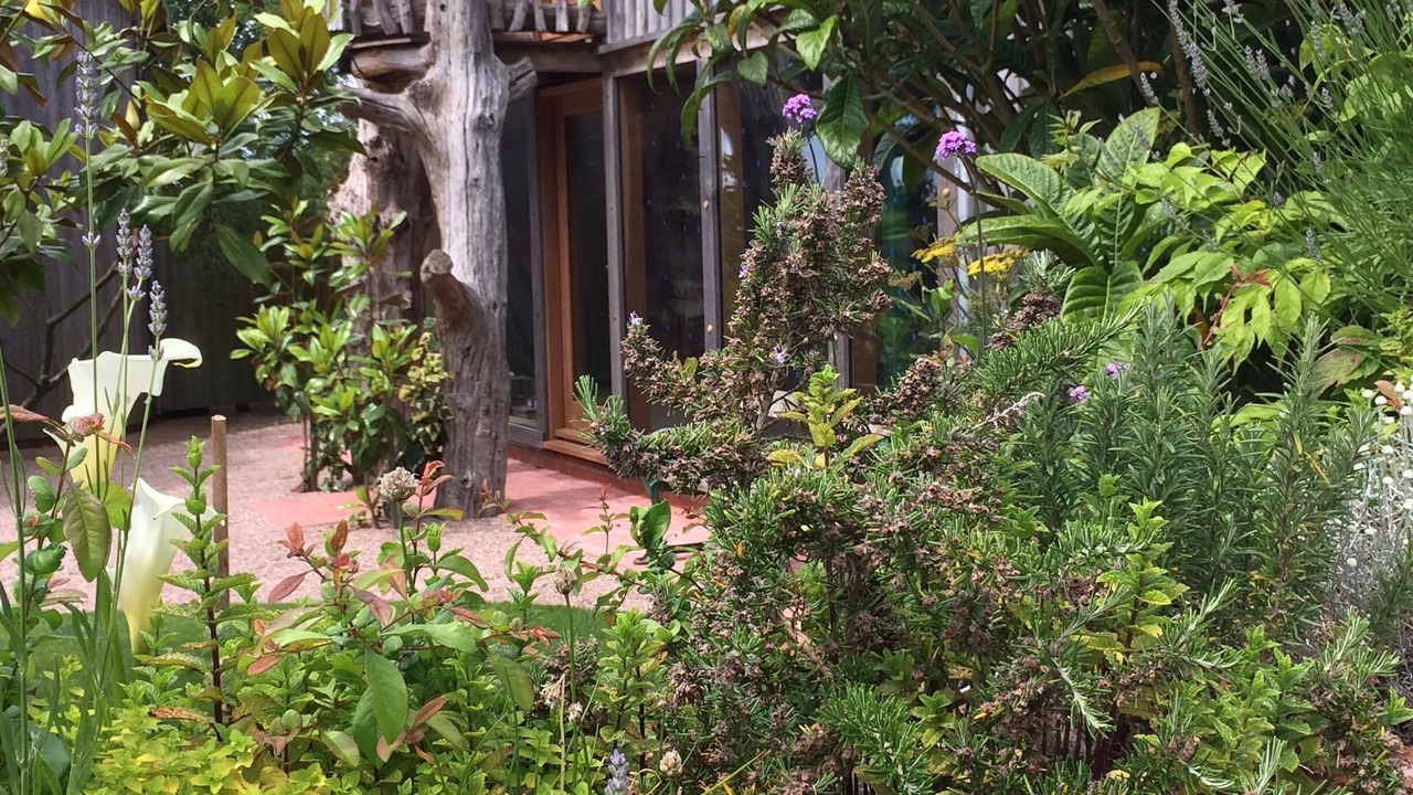 Photo of Outdoor in Bicton