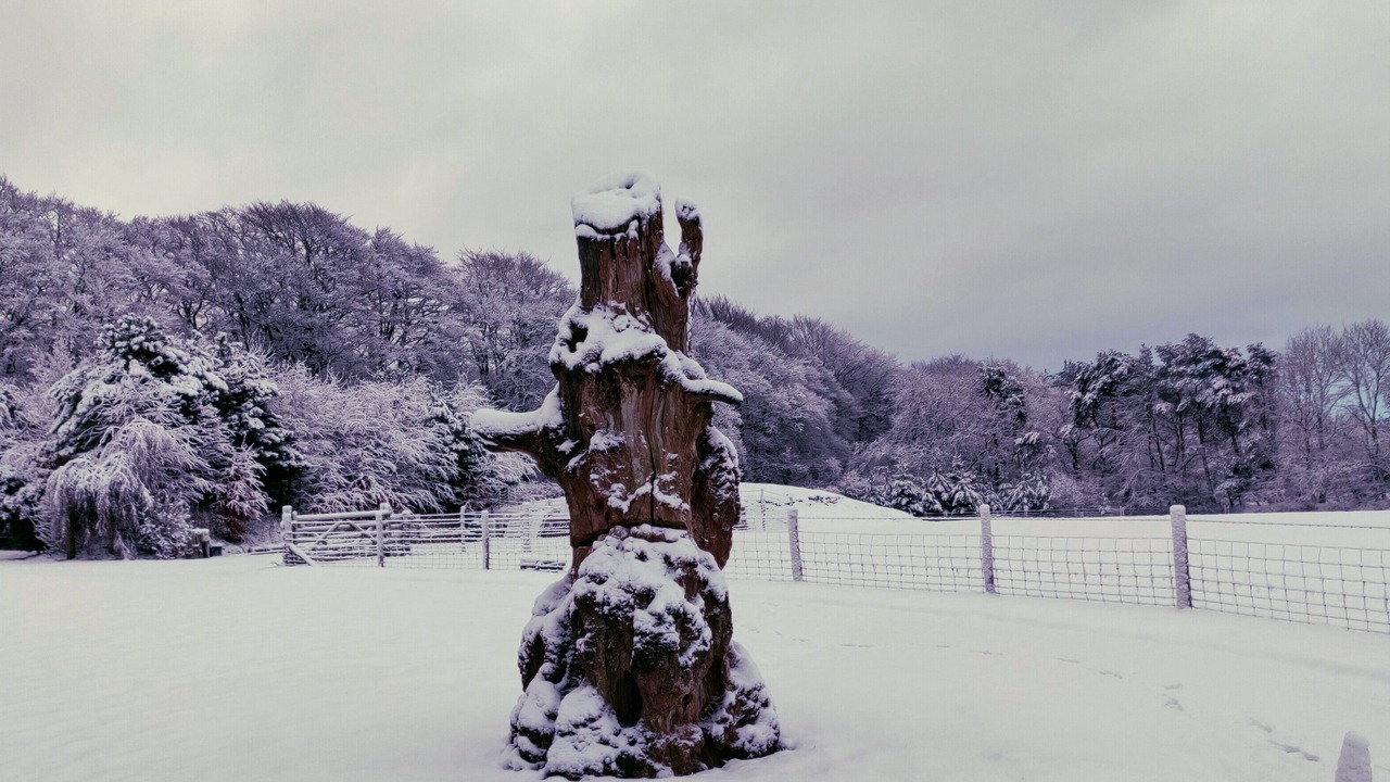 Photo of Others in Bicton