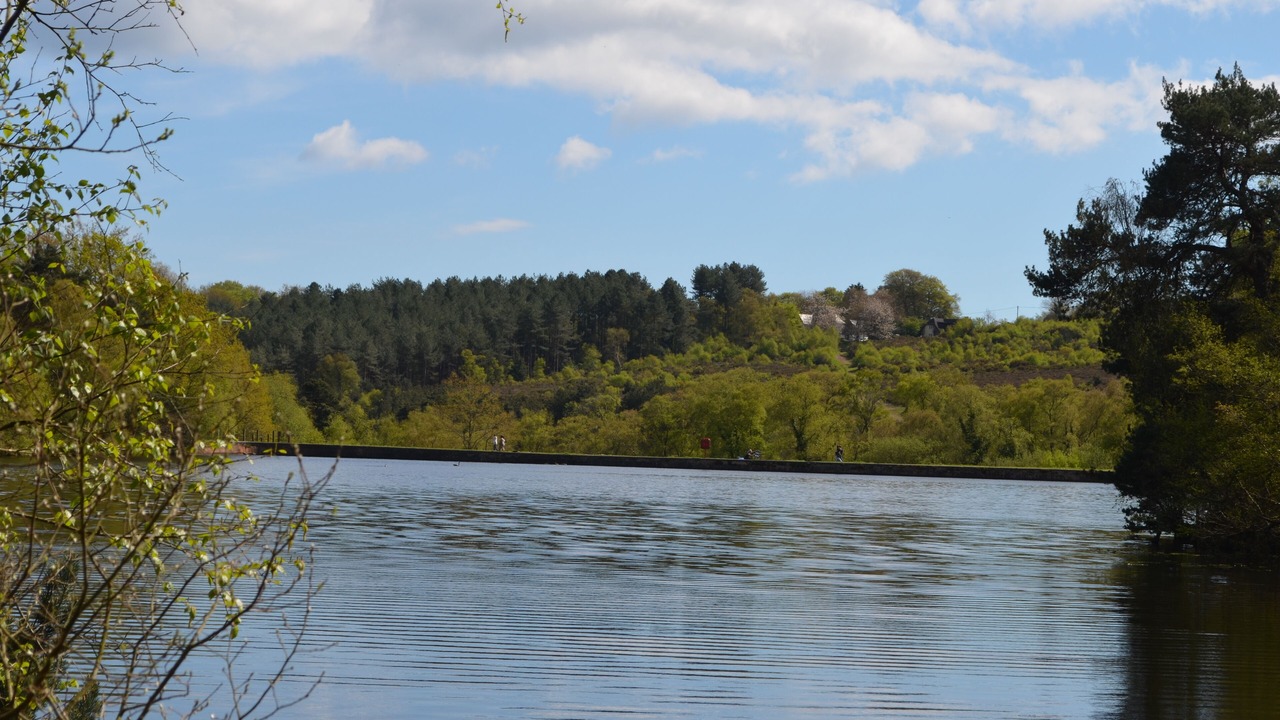 Photo of Outdoor in Bicton