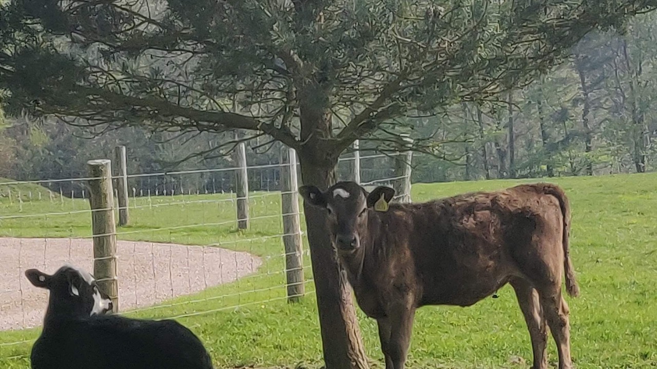 Photo of Outdoor in Bicton