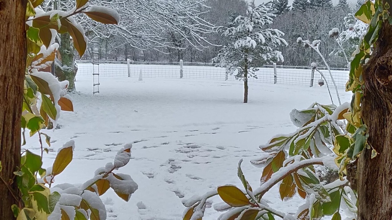 Photo of Outdoor in Bicton