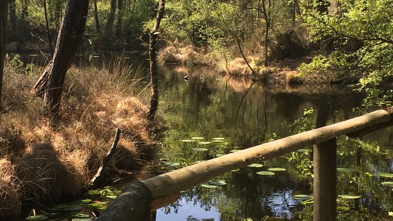 Photo of Others in Bicton