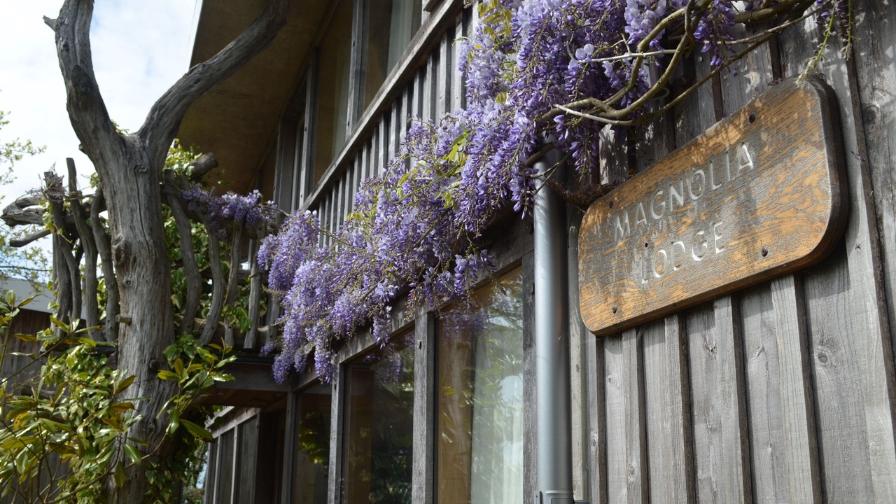 Photo of Outdoor in Bicton