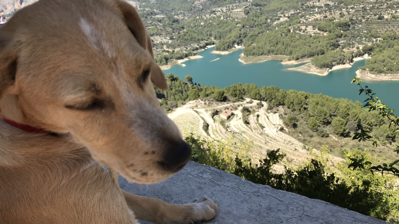 Photo of Others in Altea