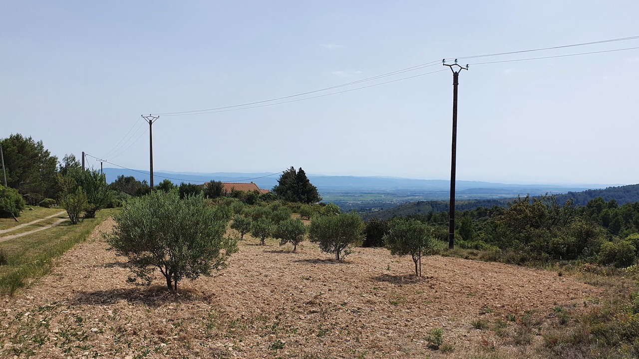 Photo of Others in Siran