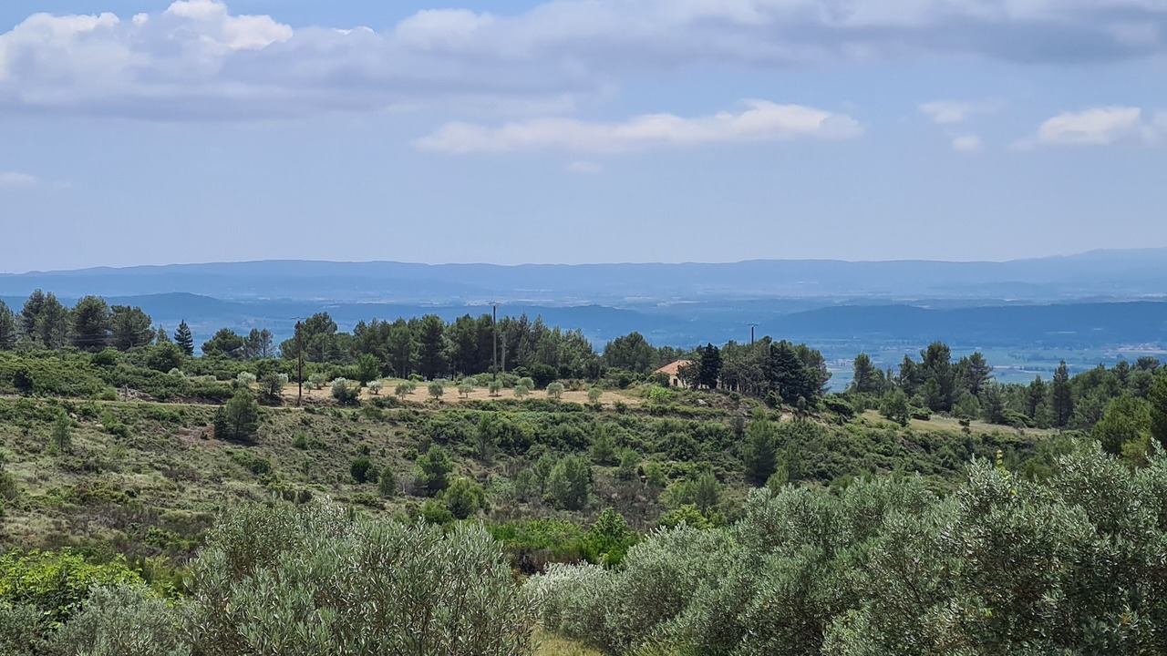 Photo of Others in Siran