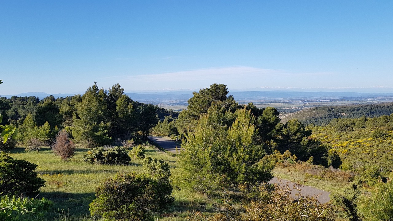 Photo of Outdoor in Siran
