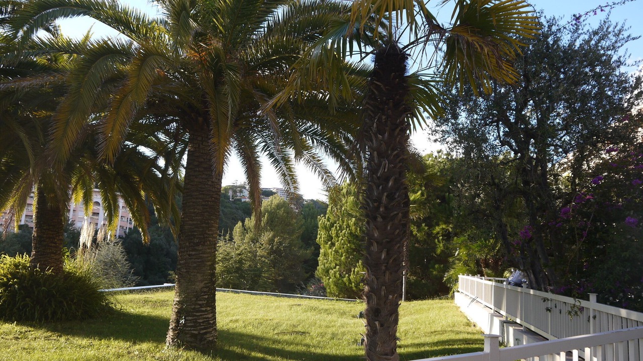 Photo of Outdoor in Fabron