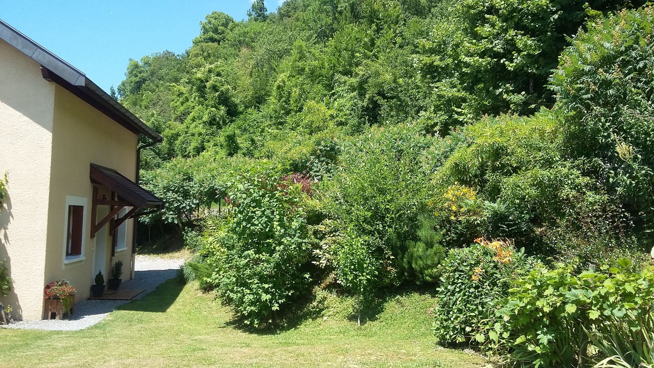 Photo of Outdoor in Rovagny