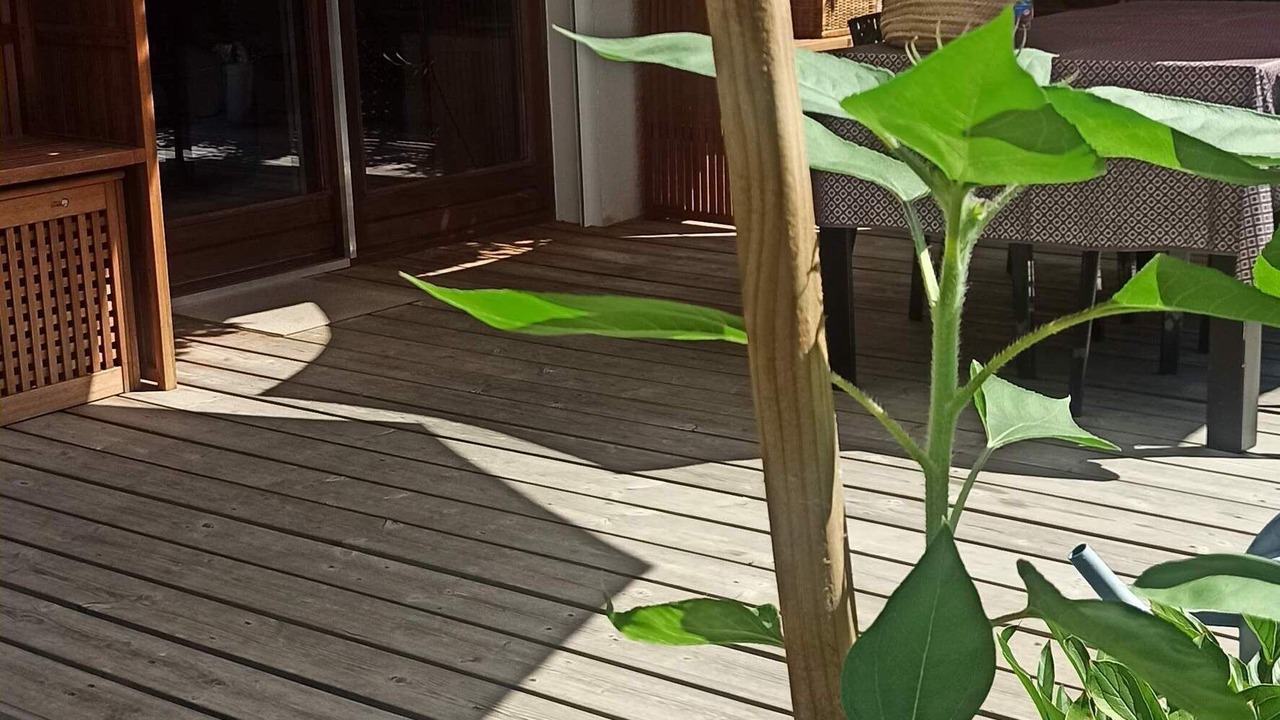 Photo of Outdoor in Rovagny