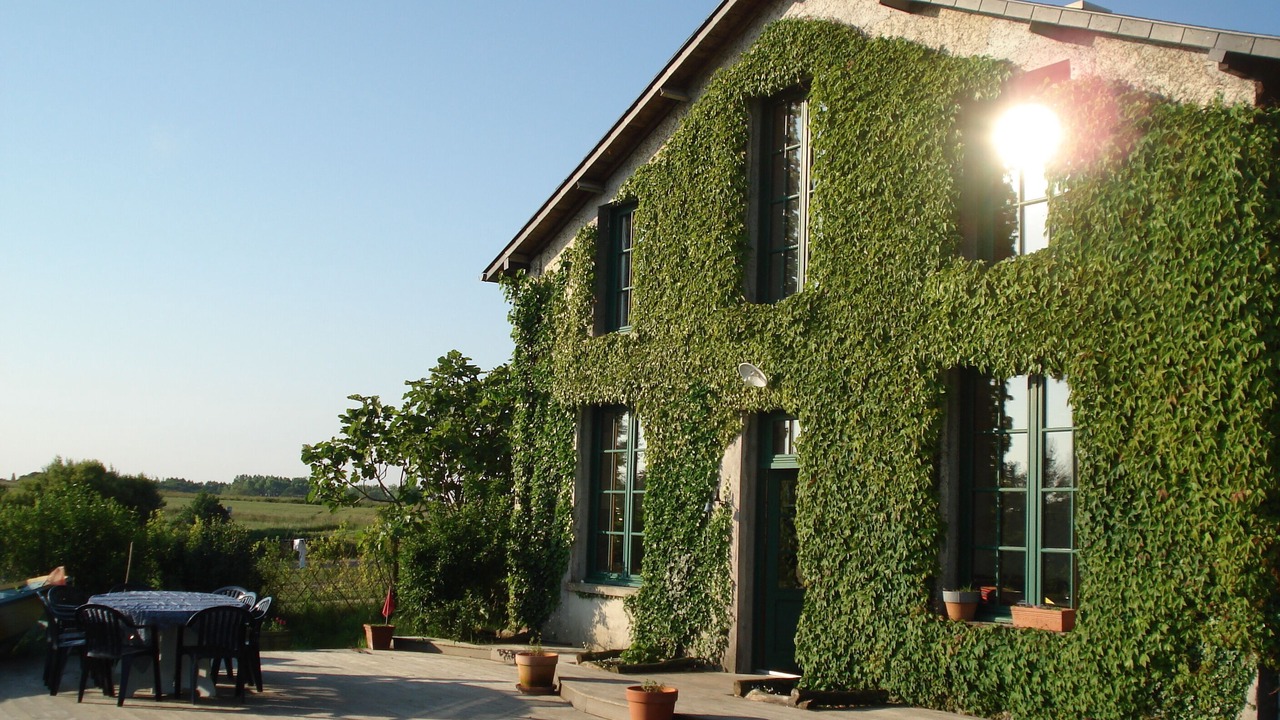 Photo of Outdoor in Saint-Coulomb