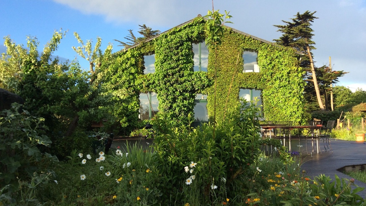 Photo of Outdoor in Saint-Coulomb