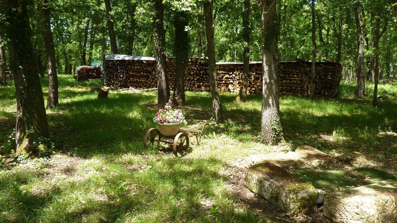 Photo of Outdoor in Cahuzac-sur-Vere