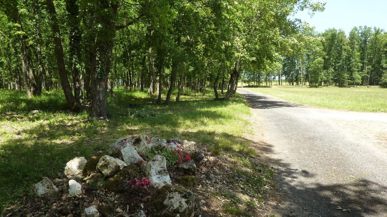 Photo of Outdoor in Cahuzac-sur-Vere