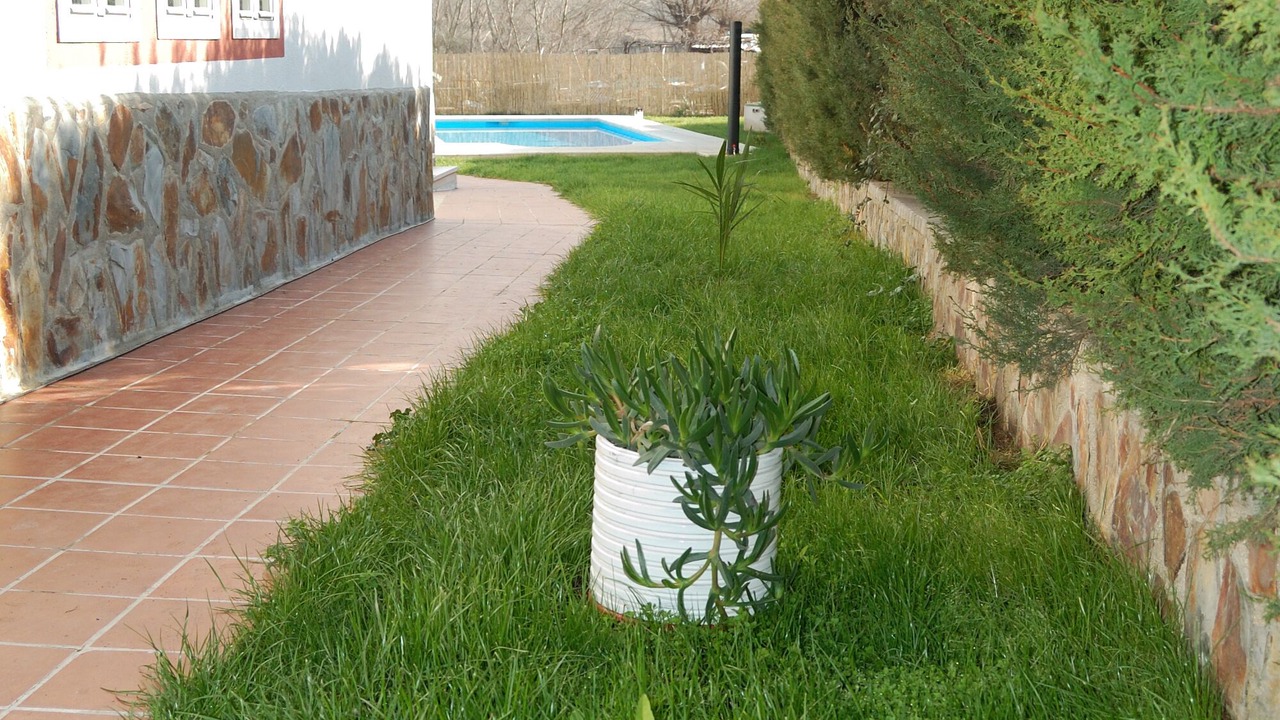 Photo of Outdoor in El Viso de San Juan