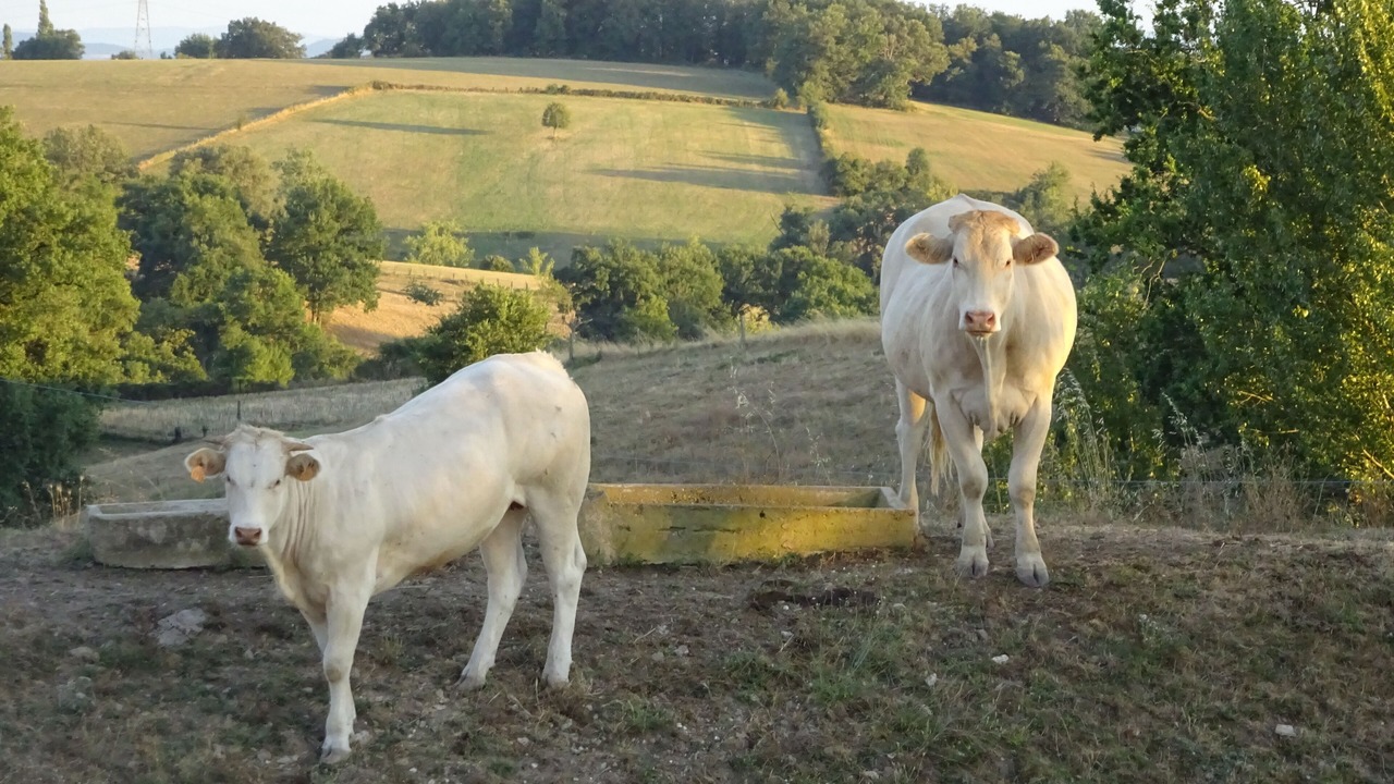 Photo of Outdoor in Andouque