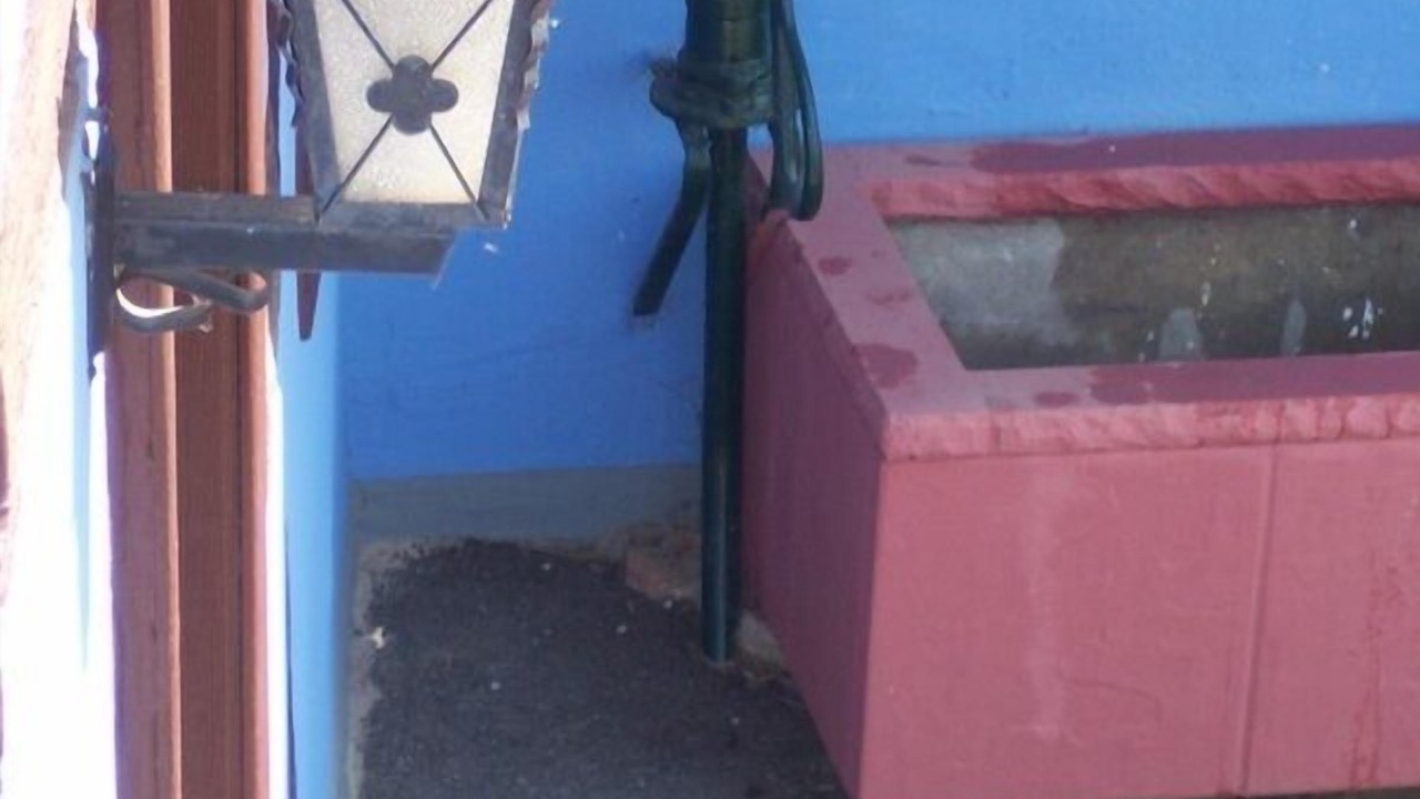 Photo of Others in Uhlwiller